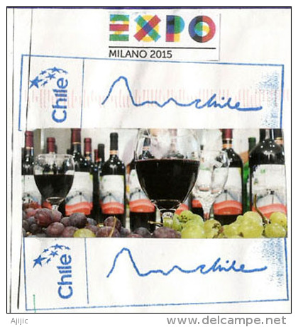 CHILI. EXPO MILAN 2015."Nourrir La Planête "(les Vignobles Chiliens) Lettre Du Pavillon Du CHILI à MILAN, - 2015 – Milan (Italie)