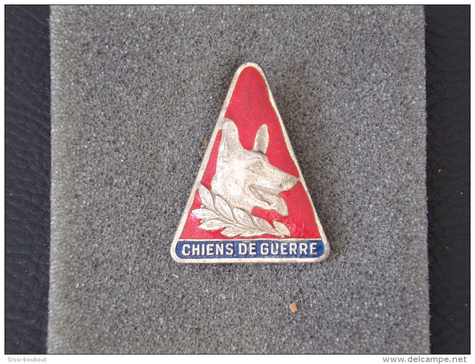 Insignes Militaire "CHIEN DE GUERRE" -  Military Badges - RARE - Armée De Terre