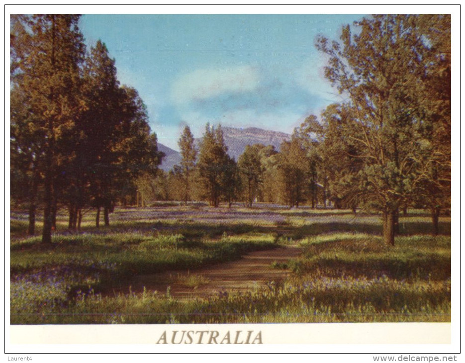 (PF 368) Australia - Bushland - Outback