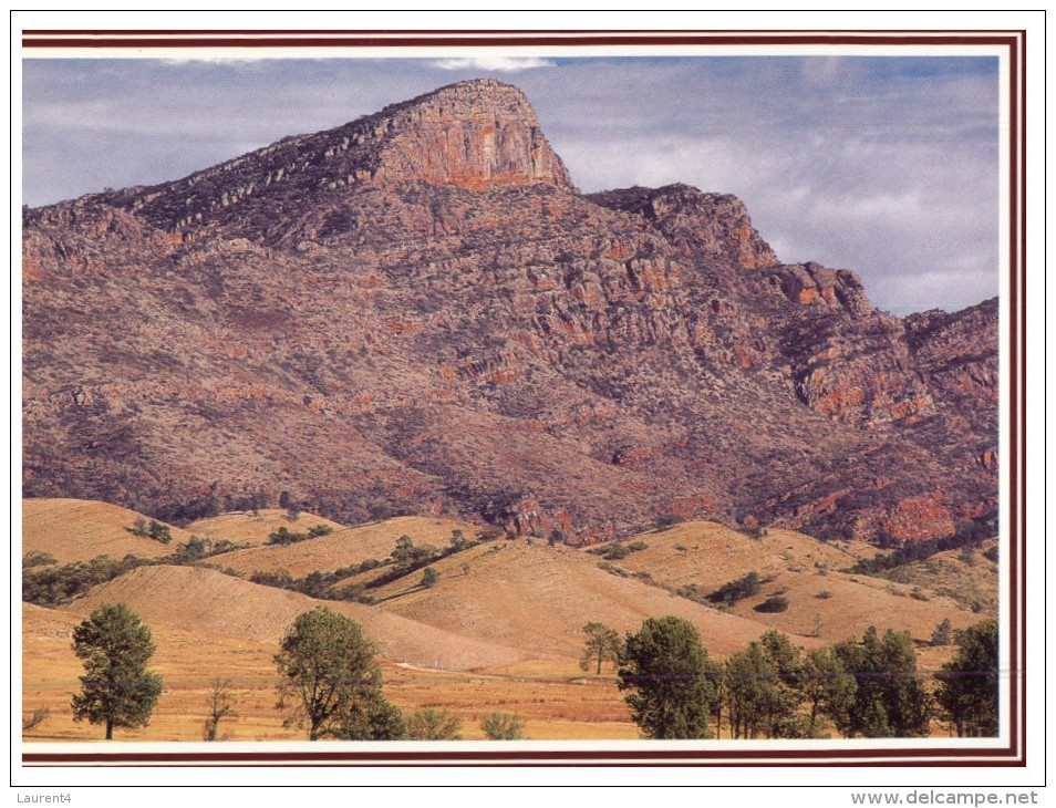 (PF 368) Australia - SA - Flinders Ranges Wilpena - Flinders Ranges