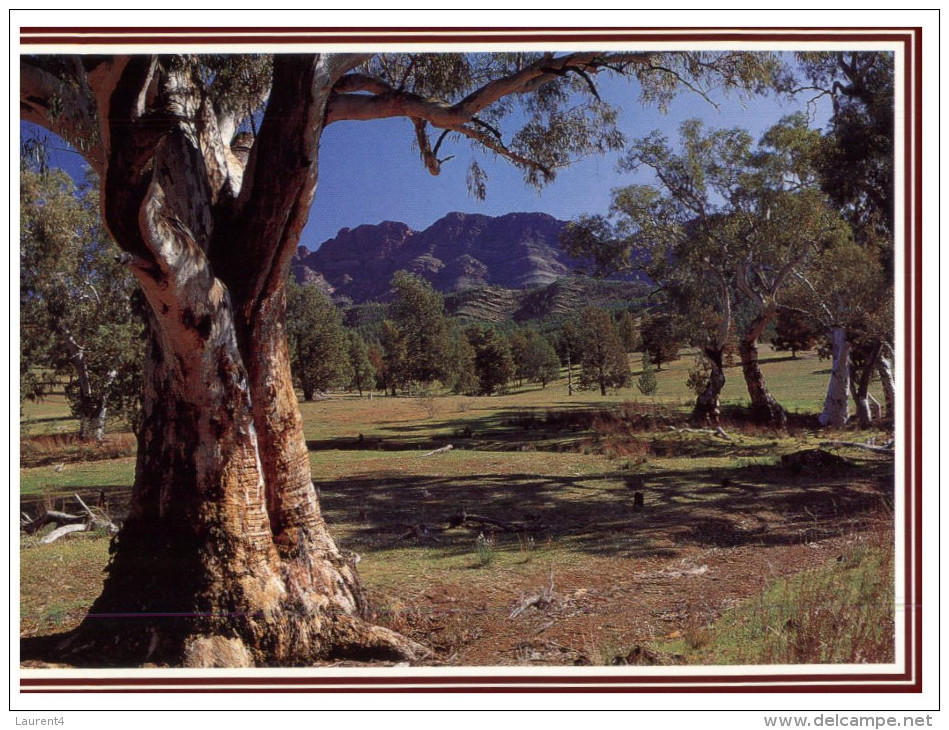 (PF 368) Australia - SA - Flinders Ranges Elder Ranges - Flinders Ranges