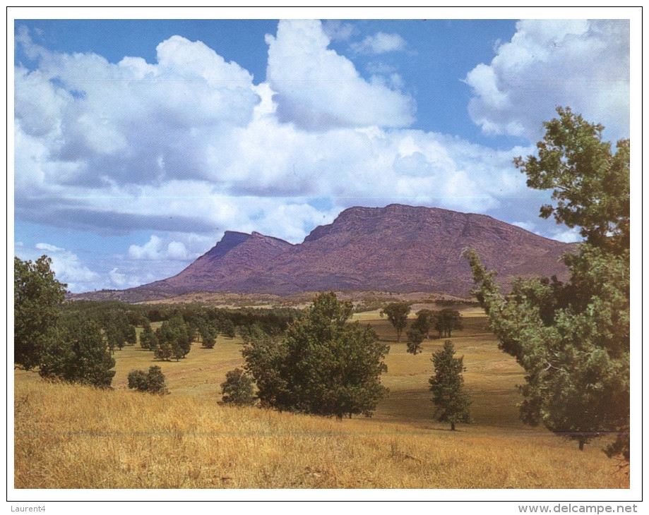 (PF 368) Australia - SA - Flinders Ranges Wilpena Station - Flinders Ranges