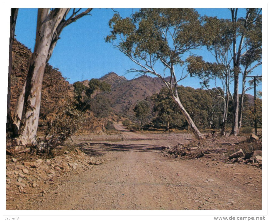 (PF 368) Australia - SA - Flinders Ranges Parachilna Gorge Road - Flinders Ranges