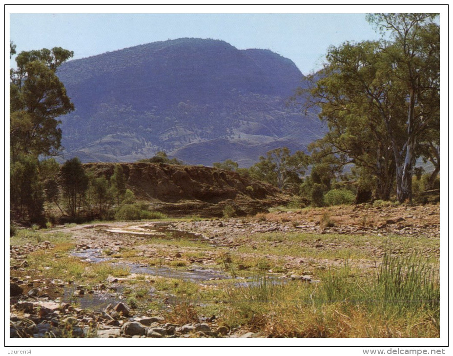 (PF 368) Australia - SA - Flinders Ranges Red Cliffed Creek - Flinders Ranges