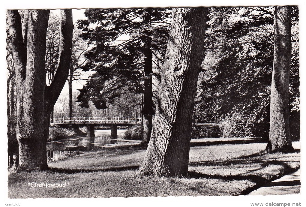 Oranjewoud - Park Met Bruggetje - Friesland / Holland - Heerenveen