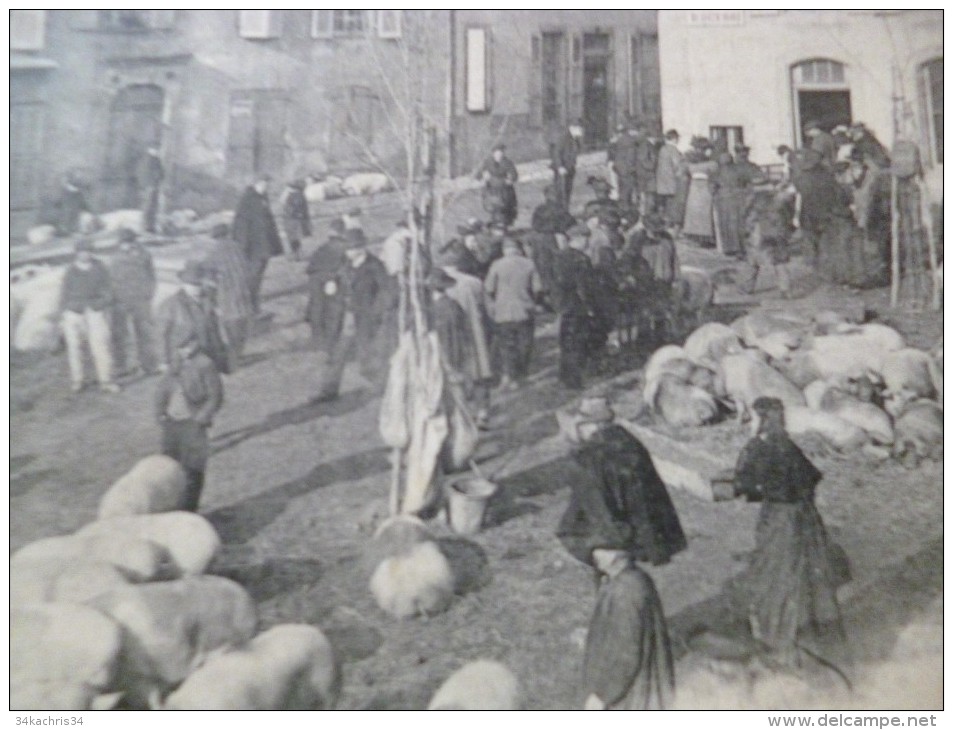 CPA Type D'Auvergne. Edit. Malroux Aurillac Un Coin Du Marché Aux Cochons - Aurillac