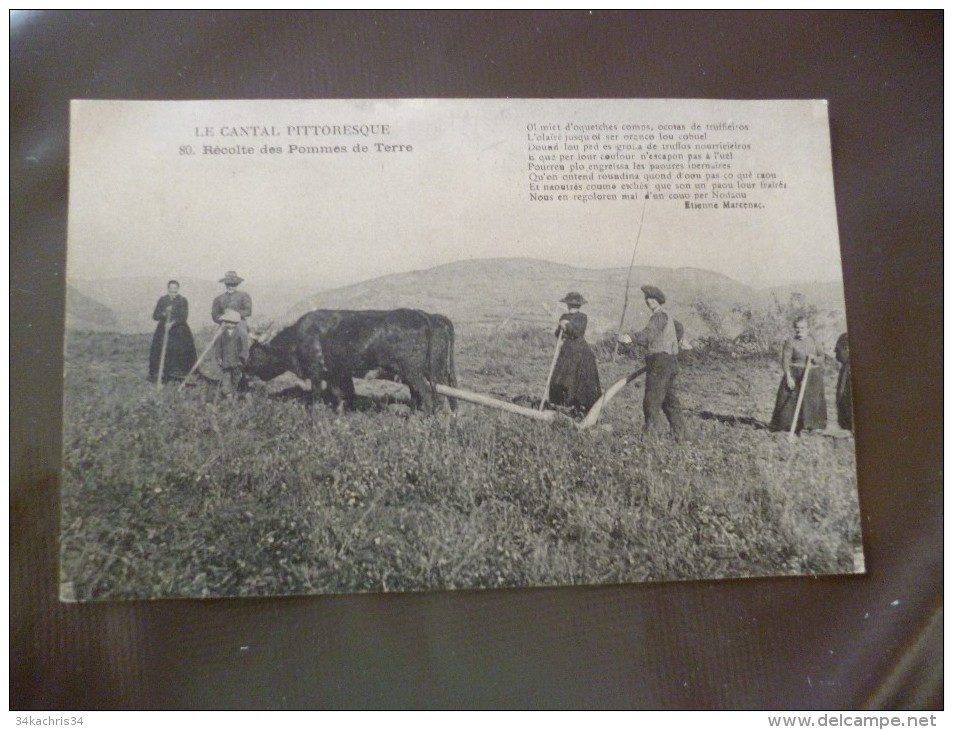 CPA Le Cantal Pittoresque Récolte De La Pomme De Terre Thème Agriculture - Autres & Non Classés