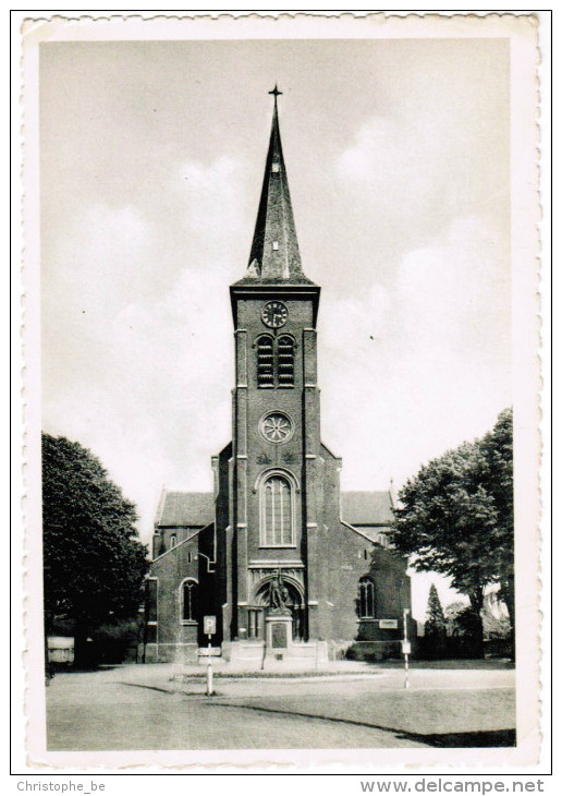 Zottegem Kerk; Center (pk21478) - Zottegem