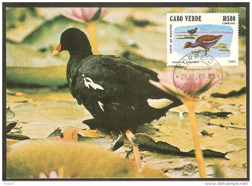 CAP VERT Carte Maximum - Gallinula Chloropus - Cap Vert