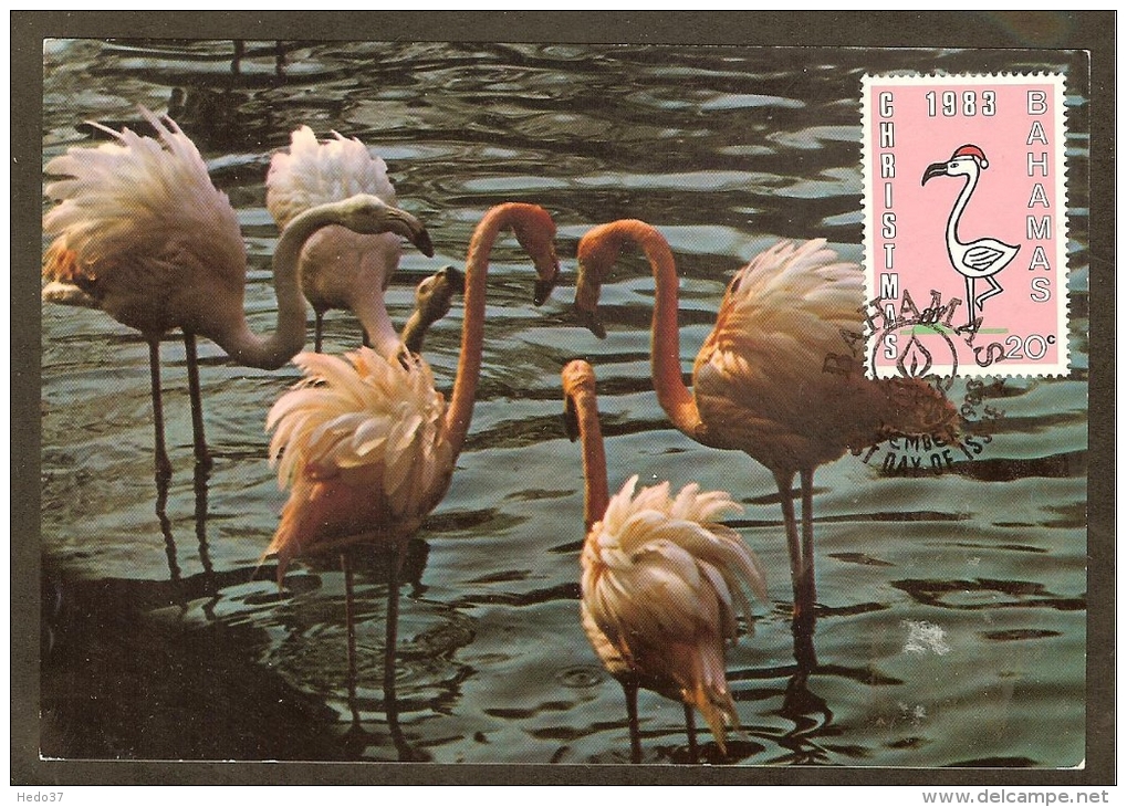 BAHAMAS Carte Maximum - Flamant Rose - Bahamas (1973-...)