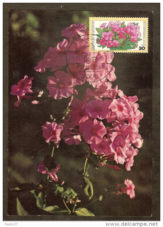 ALLEMAGNE FEDERALE Carte Maximum - Bouquet De Phlox - Autres & Non Classés