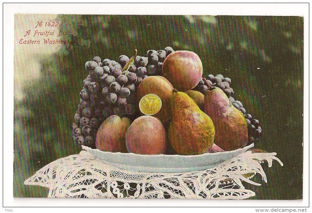 S3355- Nr1422 - A Fruitful Dish- Eastern Washington - Autres & Non Classés