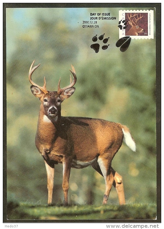 CANADA Carte Maximum - Cerf De Virginie - Cartoline Maximum