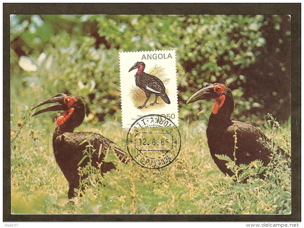 ANGOLA Carte Maximum - Bucorvus Leadbeateri - Angola