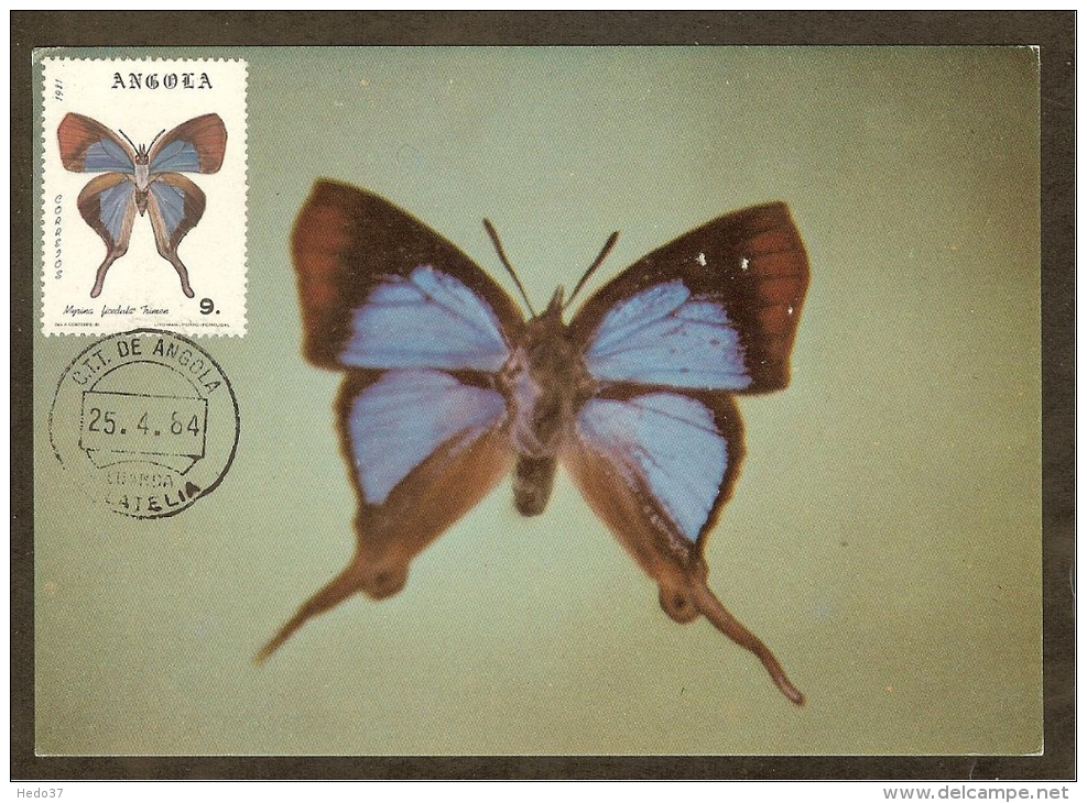 ANGOLA Carte Maximum - Myrina Ficedula - Angola