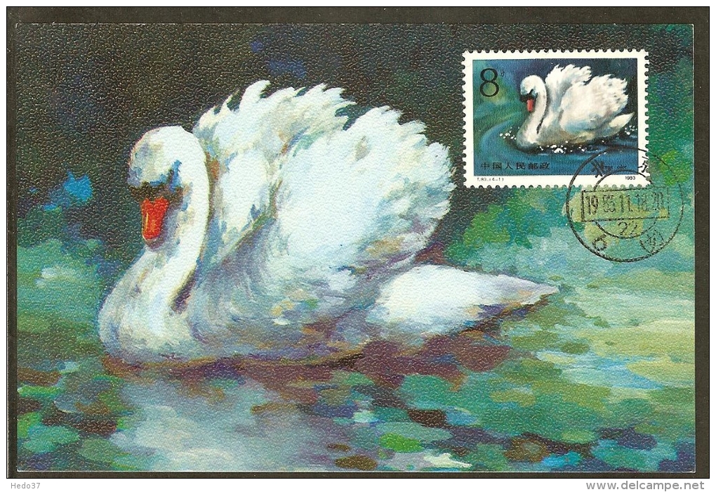 CHINE Carte Maximum - Cygnus Olor - Maximumkaarten