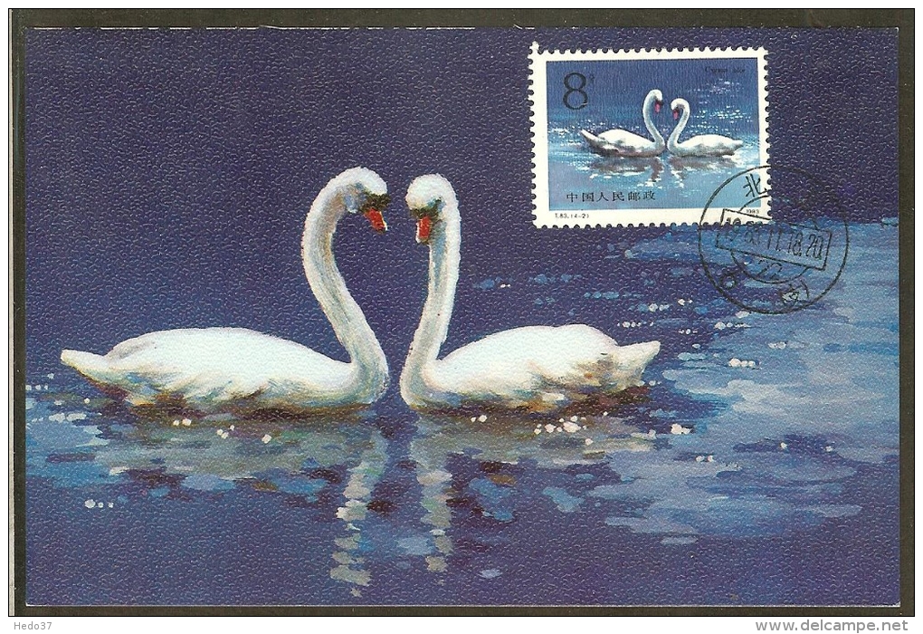 CHINE Carte Maximum - Couple Cygnus Olor - Cartes-maximum