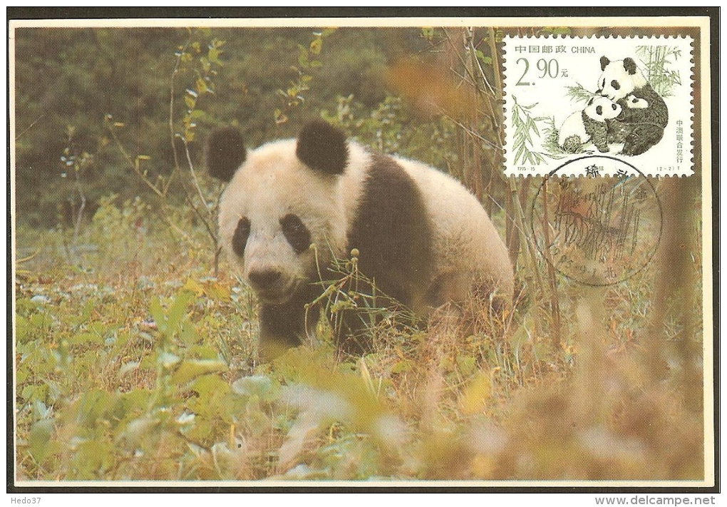 CHINE Carte Maximum - Pandas - Tarjetas – Máxima