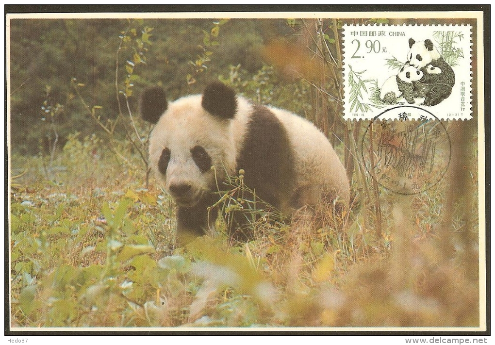 CHINE Carte Maximum - Pandas - Cartes-maximum
