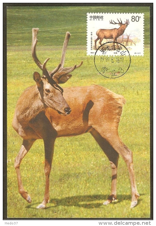 CHINE Carte Maximum - Cerf Mâle - Cartes-maximum