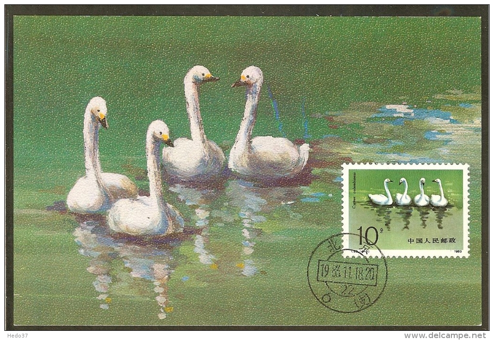 CHINE Carte Maximum - Cygnus Columbianus - Tarjetas – Máxima