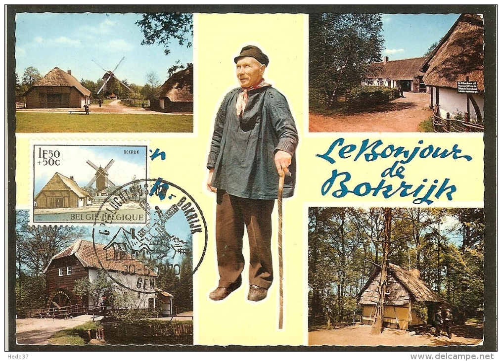 BELGIQUE Carte Maximum - Domaine De Bokrijk - Autres & Non Classés