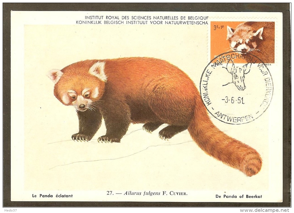 BELGIQUE Carte Maximum - Panda - Autres & Non Classés