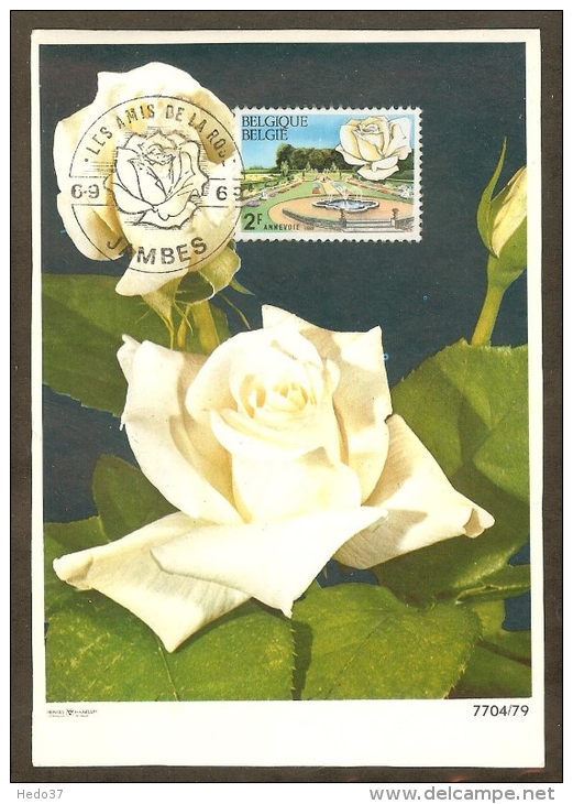 BELGIQUE Carte Maximum - Rose Pascali - Autres & Non Classés