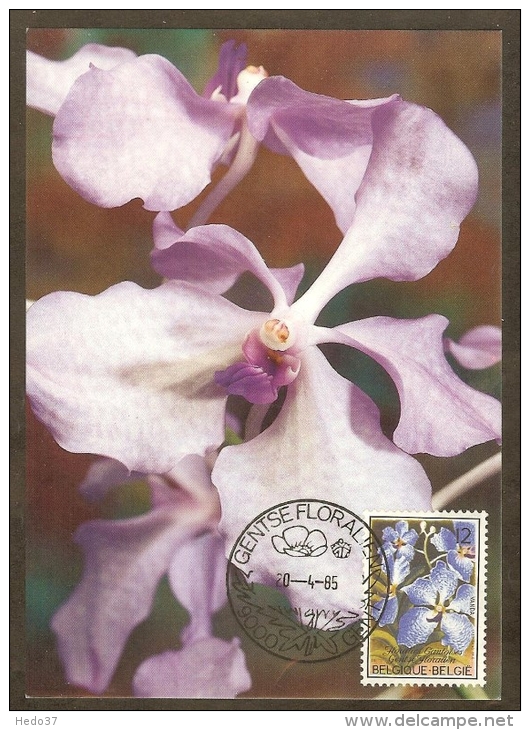 BELGIQUE Carte Maximum - Vanda - Other & Unclassified