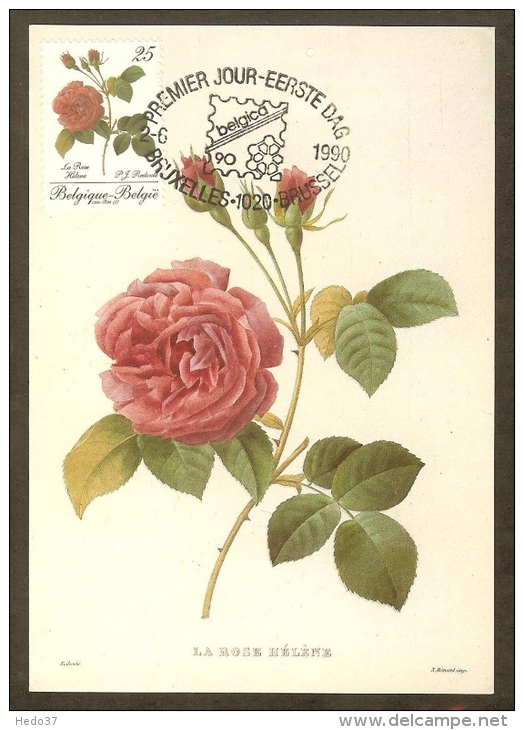 BELGIQUE Carte Maximum - Rose Hélène - Other & Unclassified