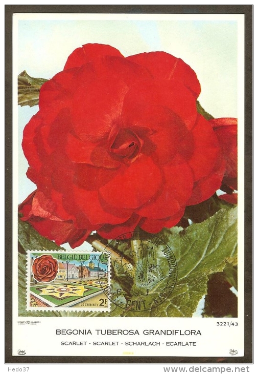 BELGIQUE Carte Maximum - Lochristi Et Begonia - Andere & Zonder Classificatie