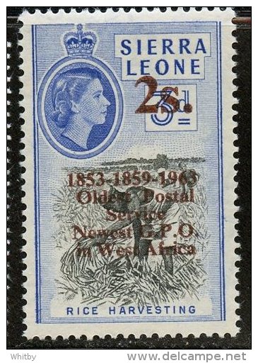 Sierra Leone 1963 2s Rice Harvesting Issue #256 - Sierra Leone (...-1960)
