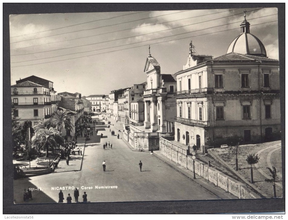 7372-NICASTRO-LAMEZIA TERME(CATANZARO)-VIA NUMISTRANO-ANIMATA-FG - Lamezia Terme