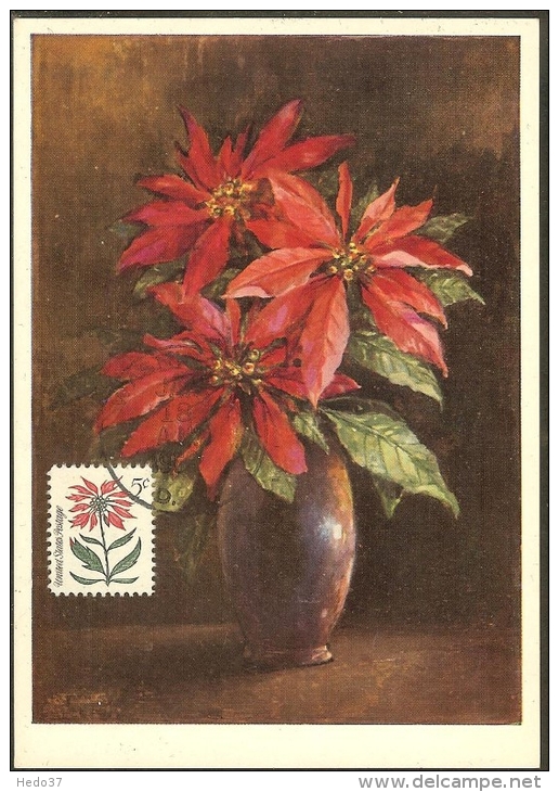 ETATS UNIS Carte Maximum - Poinsettia - Maximumkarten (MC)