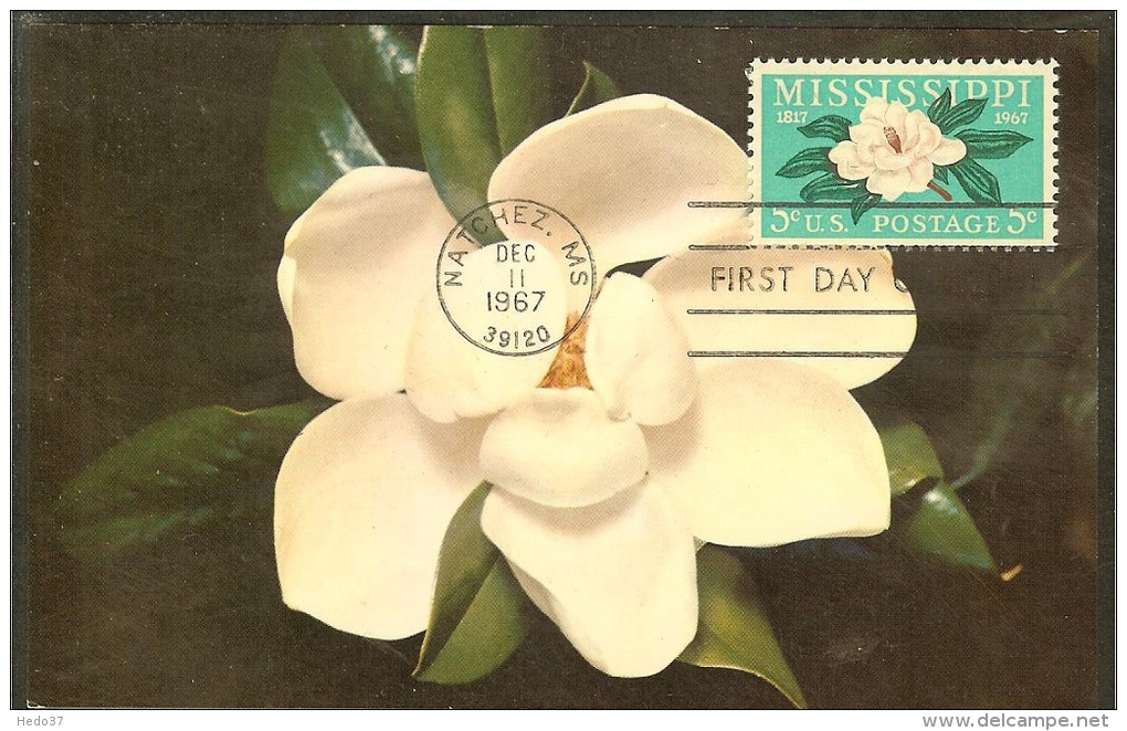 ETATS UNIS Carte Maximum - Magnolia - Cartes-Maximum (CM)