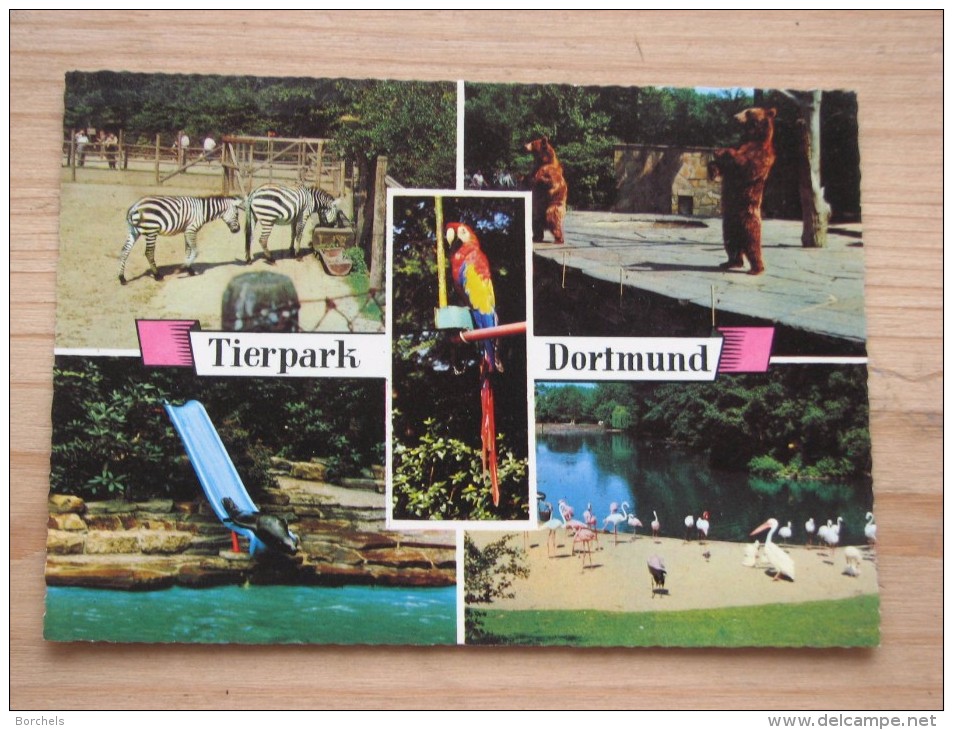 AK 072 – Dortmund – Tierpark  -  Gut Erhalten - Dortmund