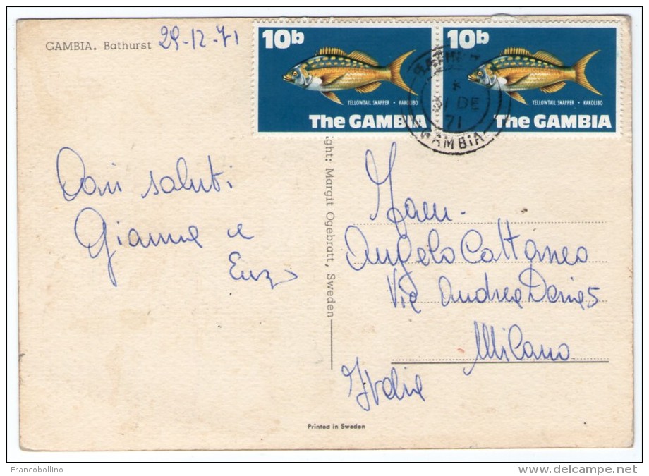 GAMBIA - BATHURST / THEMATIC STAMPS - FISH - Gambia