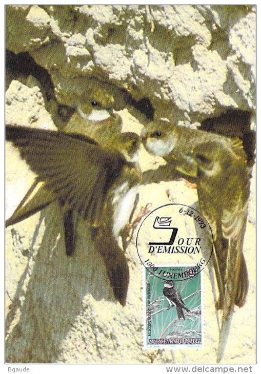 LUXEMBOURG  CARTE MAXIMUM  NUM-YVERT  1283 FAUNE PROTECTION DE LA NATURE  OISEAUX MENACES - Cartes Maximum