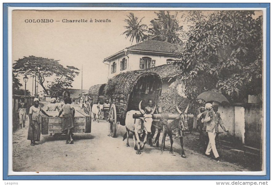 ASIE - STRI LANKA - ( CEYLON )  --  COLOMBO -- Charette à Boeufs - Sri Lanka (Ceylon)