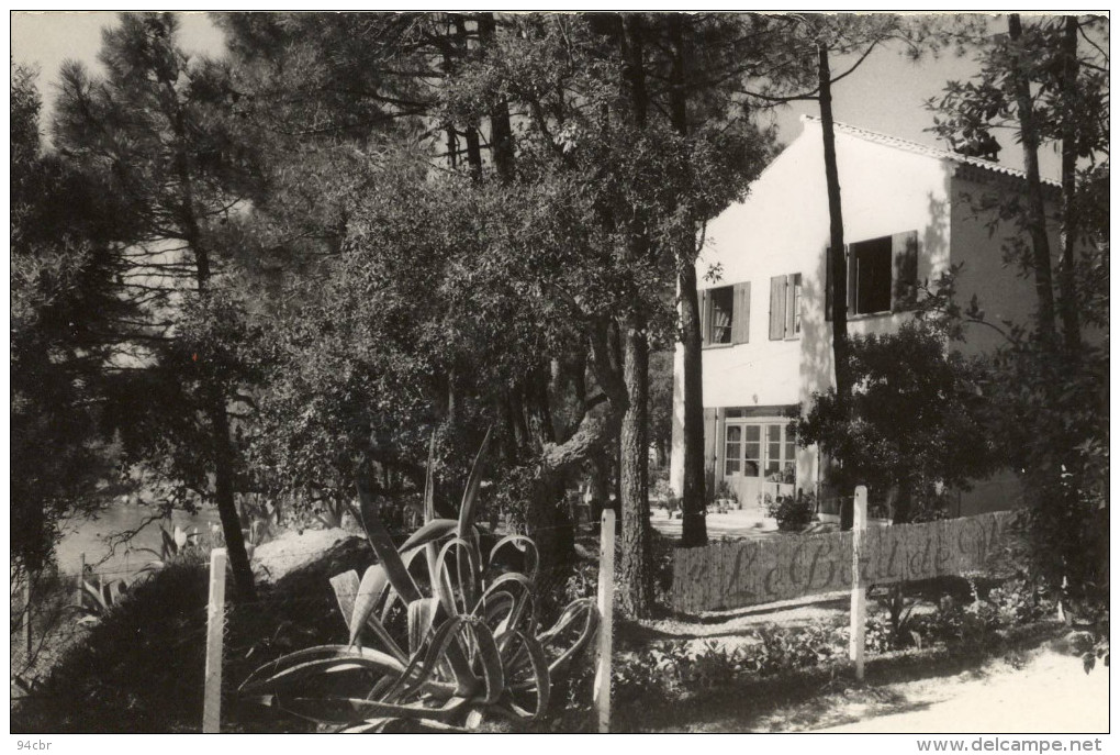 CPA (83)    LE RAYOL CANADEL  (carte Photo) - Rayol-Canadel-sur-Mer