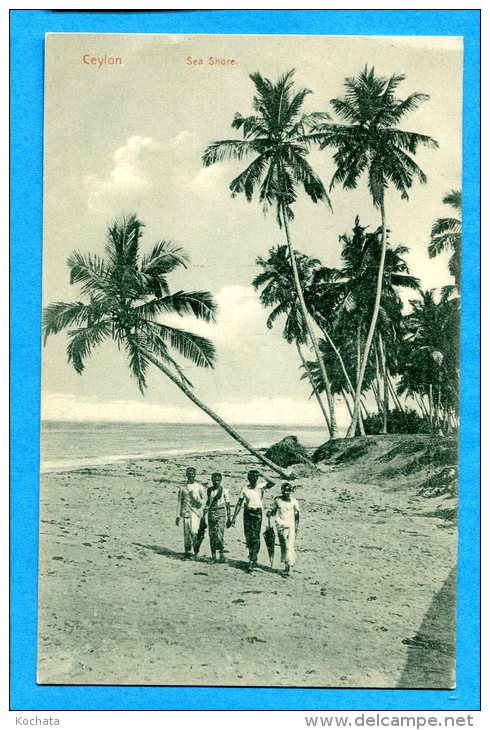 U215, Ceylon, Sea Shore, 36, Animée, Non Circulée - Sri Lanka (Ceylon)