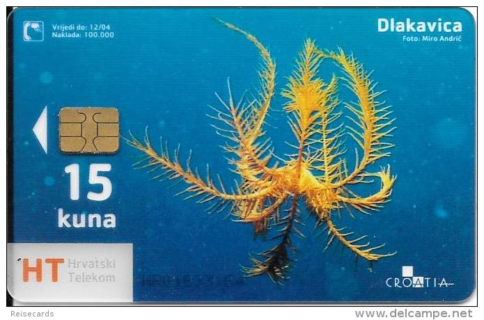 Hrvatski Telekom: Transparent Card Underwater World - Dlakavica - Kroatien