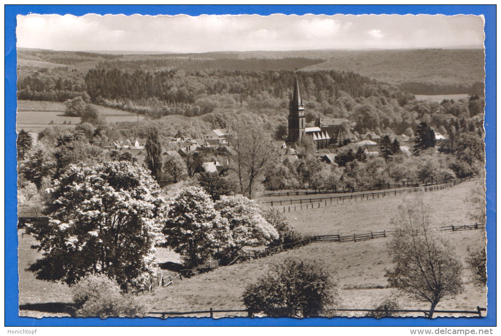 Deutschland; Bad Driburg; Panorama - Bad Driburg