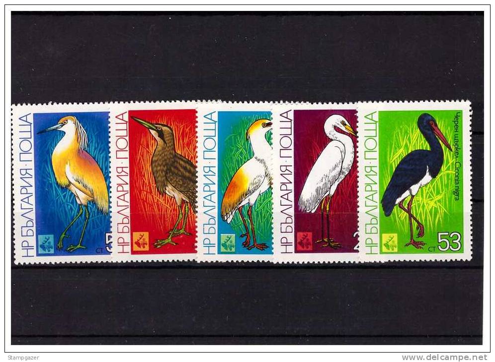 BULGARIA 1981 WATER BIRDS 5  VALUES MNH - Albatrosse & Sturmvögel