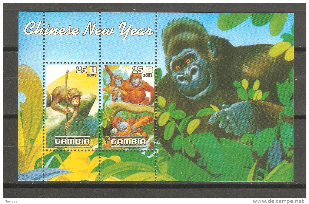 Hb- Gambia 2003 - Gorilla's