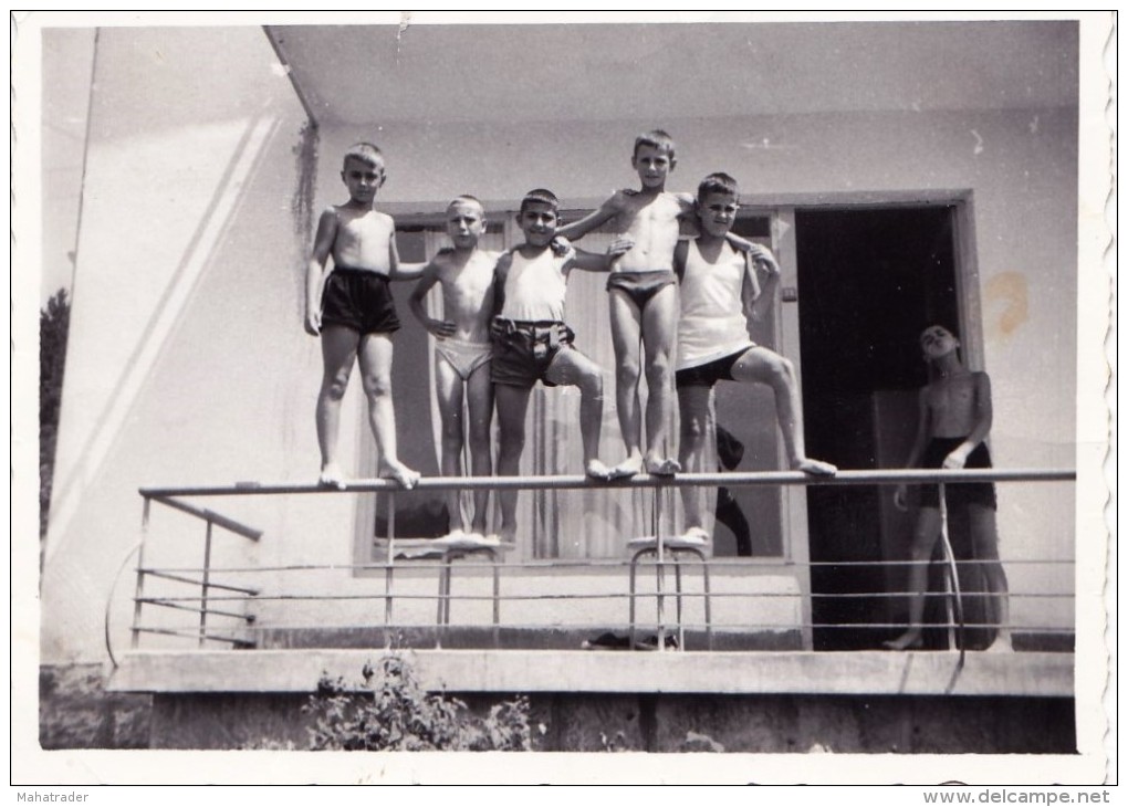 Old Real Original Photo - Vidima 1962 - Naked Boys Posing - 8.5x6.1 Cm - Anonymous Persons