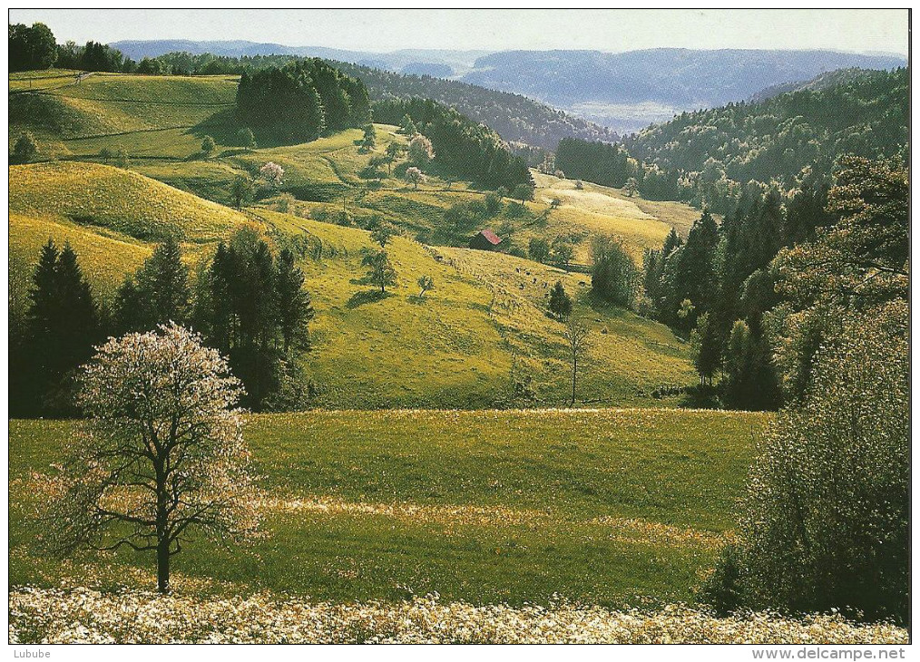 Turbenthal - Zürcher Oberland Bei Sitzberg          1987 - Turbenthal