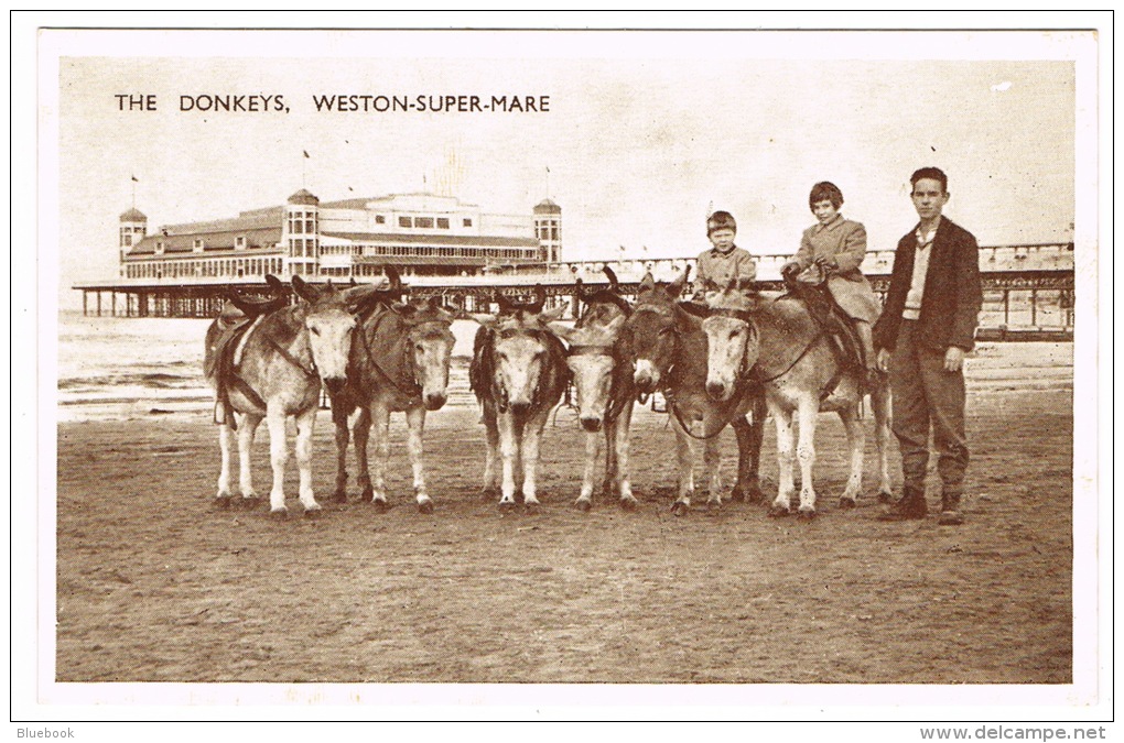 RB 1055 -  Postcard - Donkeys &amp; Pier - Weston-super-Mare Somerset - Weston-Super-Mare