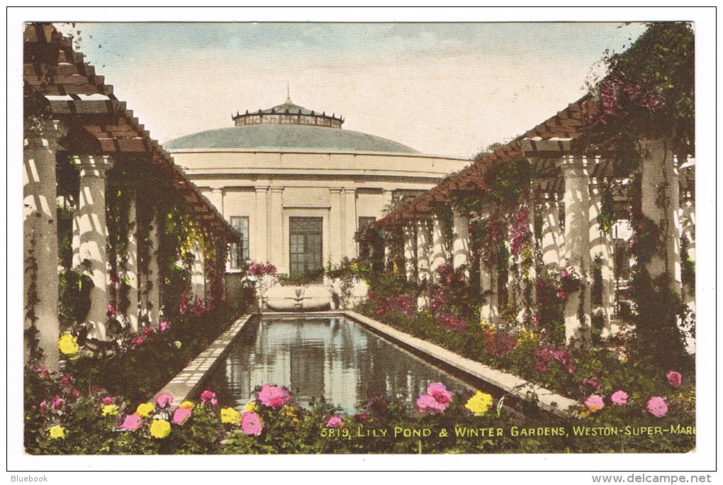 RB 1055 -  J. Salmon Postcard - Lily Pond &amp; Winter Gardens - Weston-super-Mare - Weston-Super-Mare