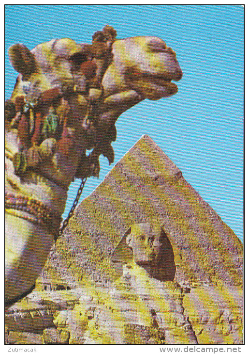 Giza - The Sphinx And The Pyramid Of Khafre - Camel 1980 Nice Stamps - Gizeh